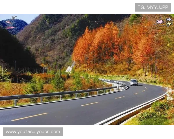 真实可靠的百家家乐真人网站推荐及辨别真假平台的方法详尽解析